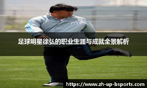 足球明星徐弘的职业生涯与成就全景解析